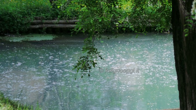 MeetUp storico Foligno5Stelle, l'acqua fonte di vita, lasciato in mano alla speculazione