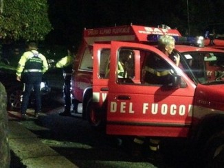 Cani cadono in un corso d'acqua padrone muore per salvarli