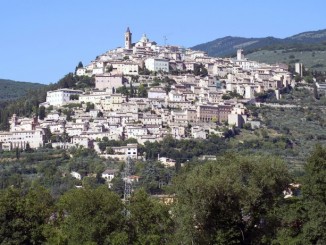 Trevinatura promuovere e sos...tenere la biodiversità T