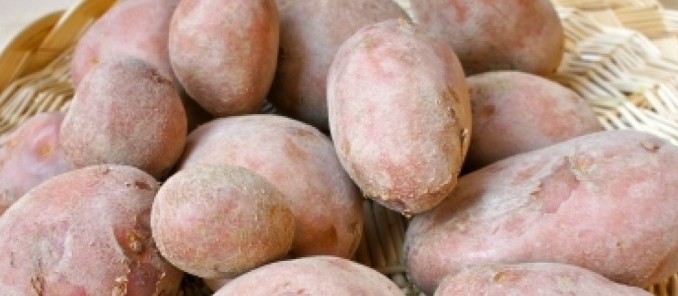 patata rossa
