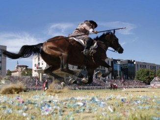 Cavallo morto, WWF chiede ai NAS dei Carabinieri il sequestro e l'esame autoptico