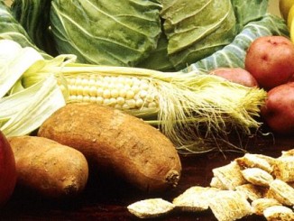 Progetto alimentazione presentato al Colibrì