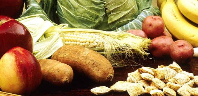 Progetto alimentazione presentato al Colibrì