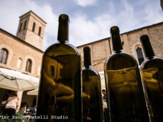 Enologica 2015, il tema "Mondo Sagrantino" protagonista della 36esima edizione