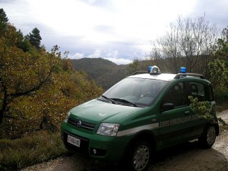 Macellazione clandestina, perquisizioni domiciliari a Gualdo Cattaneo