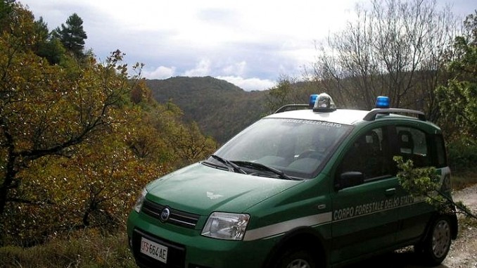 Macellazione clandestina, perquisizioni domiciliari a Gualdo Cattaneo