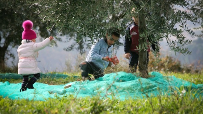 Frantotipico: una domenica tra natura e gusto