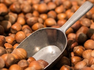 A Bevagna tutto pronto per la "Festa della nocciola"
