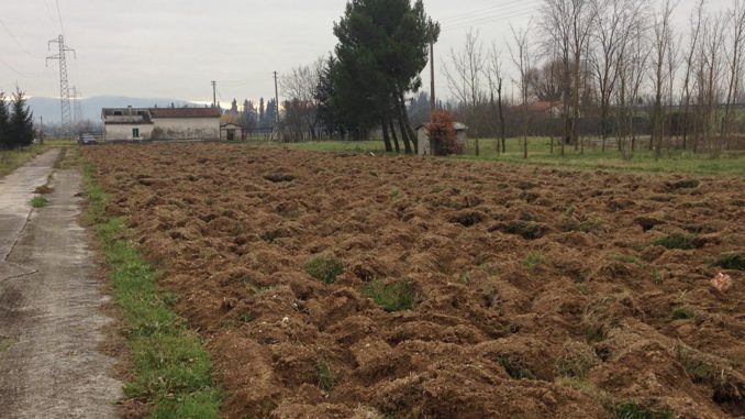 Inaugurazione degli Orti Solidali della Misericordia a Trevi