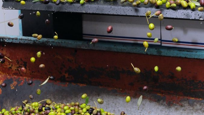 La Mangiaunta, dal 29 al 30 ottobre 2016 a Giano dell'Umbria