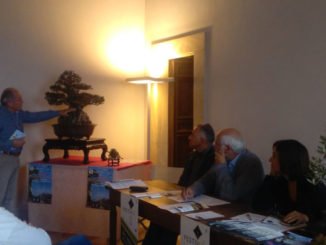 Festivol, Trevi tra olio, arte, musica e papille, dal 29 ottobre al primo novembre 2016