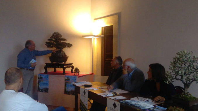 Festivol, Trevi tra olio, arte, musica e papille, dal 29 ottobre al primo novembre 2016