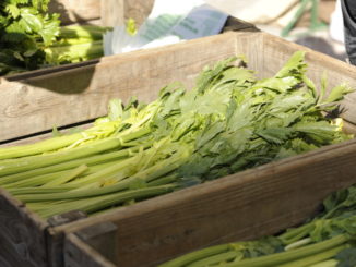 Trevi, Mostra Mercato del sedano Nero e Sagra del sedano e della Salsiccia