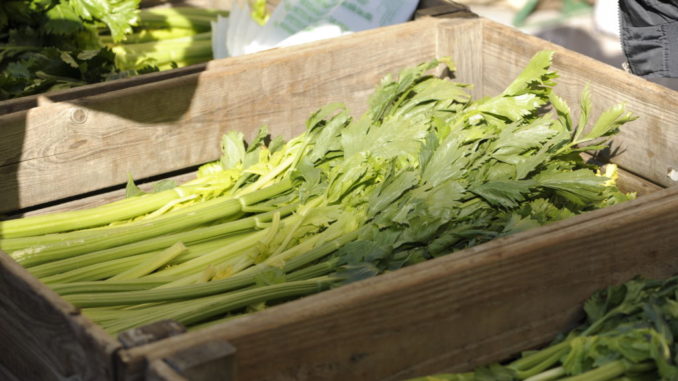 Trevi, Mostra Mercato del sedano Nero e Sagra del sedano e della Salsiccia