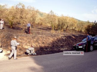 Scellerato dà fuoco ad un uliveto e poi scappa, arrestato dai Carabinieri