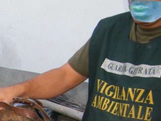 Bomba ecologica a Foligno, amianto e liquidi inquinanti nel terreno