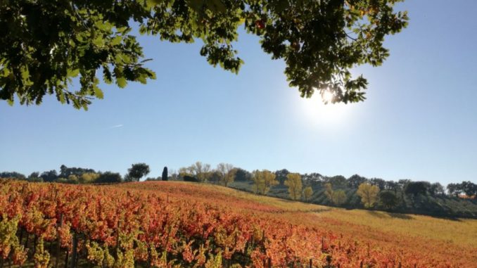 Formaggi e vini doc e dogc nei weekend della Strada del Sagrantino