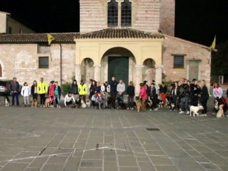 Passeggiata di gruppo in Centro a Foligno anche con i cani