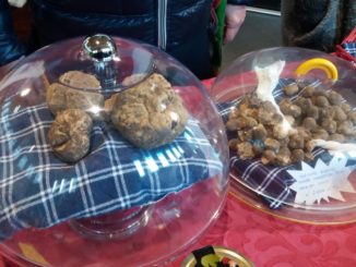 Ancora un weekend per la mostra mercato del Tartufo di Valtopina
