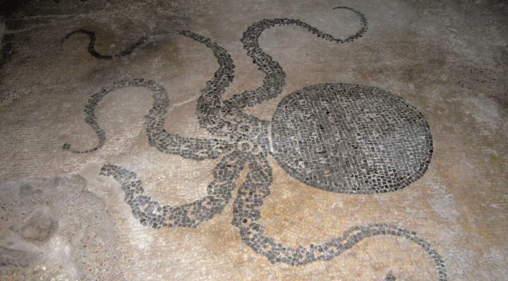 Bevagna Città Museo: biglietto unico per visitare Museo, Mosaico delle Terme Romane e Teatro Torti