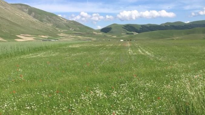 Foligno, domani al punto Enel inaugurazione mostra fotografica 'Castelluccio vive'