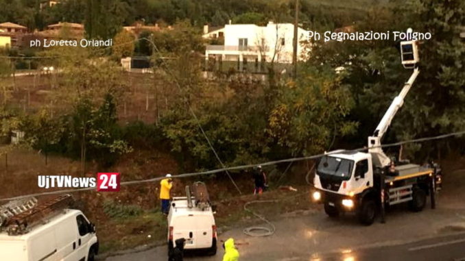 maltempo foligno sf Maltempo a Foligno si schianta pino e trancia fili dell'energia elettrica
