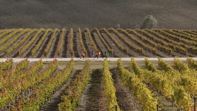 Sagrantino Running, presentazione e anteprima video, a Montefalco il 7 dicembre