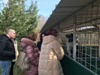 Trevi, il Comune attivo sul fronte del benessere degli animali