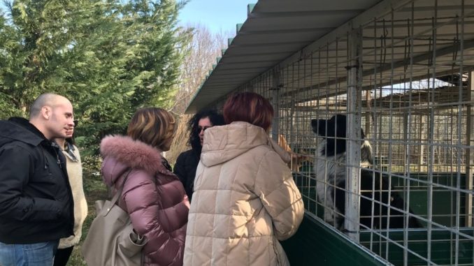 Trevi, il Comune attivo sul fronte del benessere degli animali