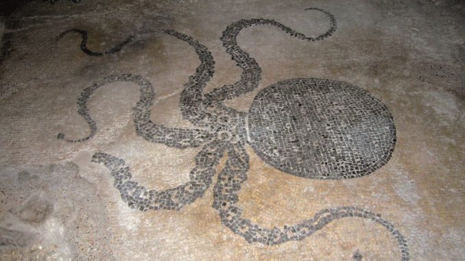 Bevagna Città Museo, con il biglietto unico si visitano Museo, Mosaico e Teatro