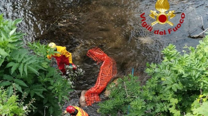 Due caprioli morti trovati nel fiume a Pale di Foligno, recuperati dai vigili del fuoco