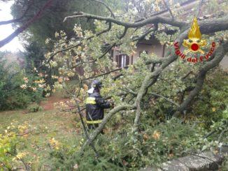 Piante e rami caduti e un tetto scoperchiato, danni a Foligno per maltempo