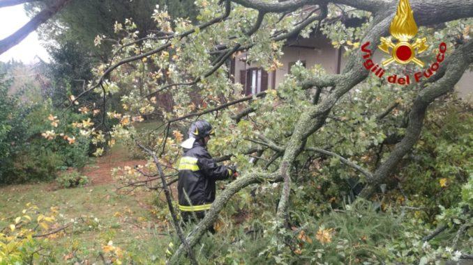 Piante e rami caduti e un tetto scoperchiato, danni a Foligno per maltempo