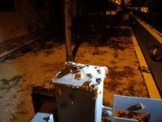 Scarafaggi a Budino di Foligno, famiglie stremate, bimbi terrorizzati |Video e fotogalley