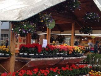 Fiera Santo Manno, si terrà il 14 e 15 settembre a Foligno negli spazi prossimi agli impianti sportivi di Santo Pietro, dalle 8 alle 22.