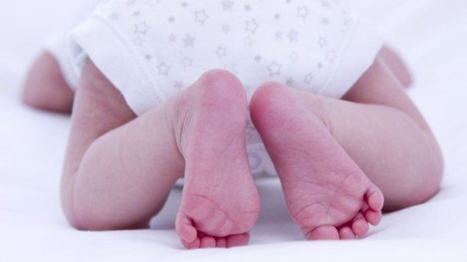 Baby box per i nuovi nati nel 2023 a Foligno Baby box per i nuovi nati nel 2023 a Foligno