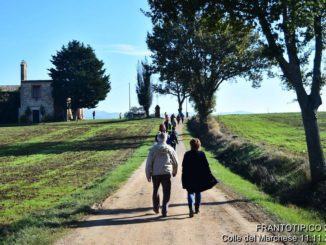 In arrivo Frantotipico, la festa dell’olio nuovo di Castel Ritaldi