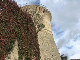 Sapere di pane, sapore di olio, conclusa l'XI edizione della manifestazione
