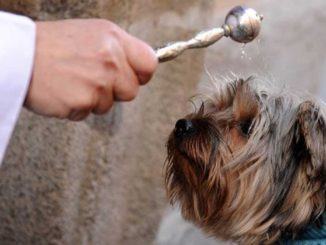 Benedizione degli animali in centro, sindaco invita cittadinanza a partecipare