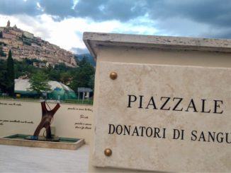 Avis Trevi: un 2019 ottimo, ma si punta ad un 2020 ancora migliore