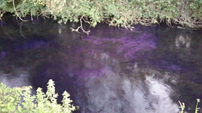 Fiumi Valle Umbra Sud sono calate tenebre, dopo incendio pesci morti