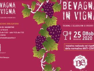 Bevagna in vigna domenica 25 ottobre trekking e degustazioni