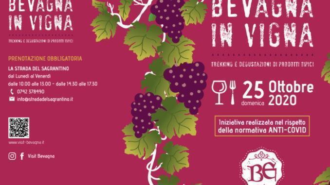 Bevagna in vigna domenica 25 ottobre trekking e degustazioni