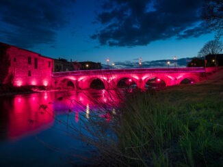 Medaglia del Presidente della Repubblica per le Giornate Dantesche