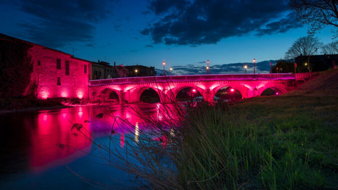 Medaglia del Presidente della Repubblica per le Giornate Dantesche