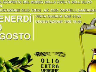 Estate al museo a Trevi, con l'olio, complesso museale San Francesco
