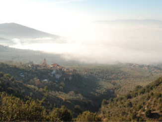 Camminata tra gli olivi, in programma domenica 24 ottobre