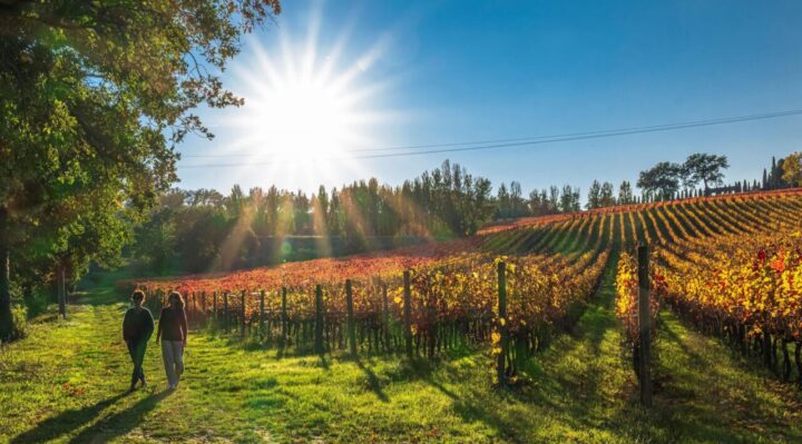  Trek Tour in autunno a Montefalco con "Sagrantino Experience"