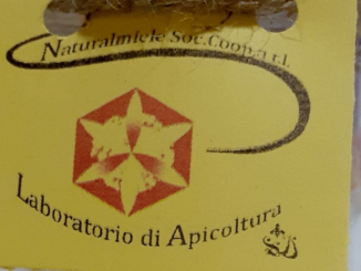 Mielinumbria, protagonisti i bambini: laboratori e visite guidate anche per i più piccoli a partire da sabato 20 novembre