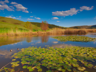 Premiazione del concorso fotografico “Immagina la natura”